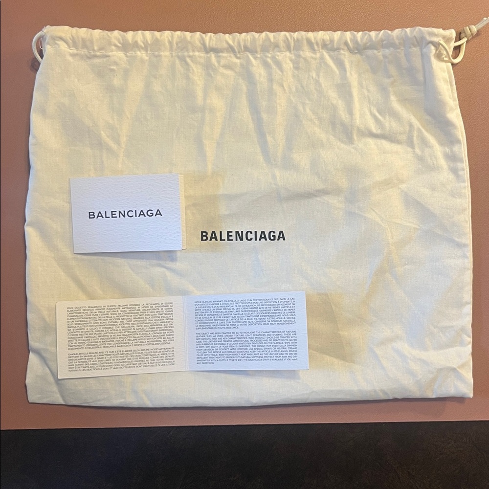 Balenciaga Camera Bag - Picture 11 of 12